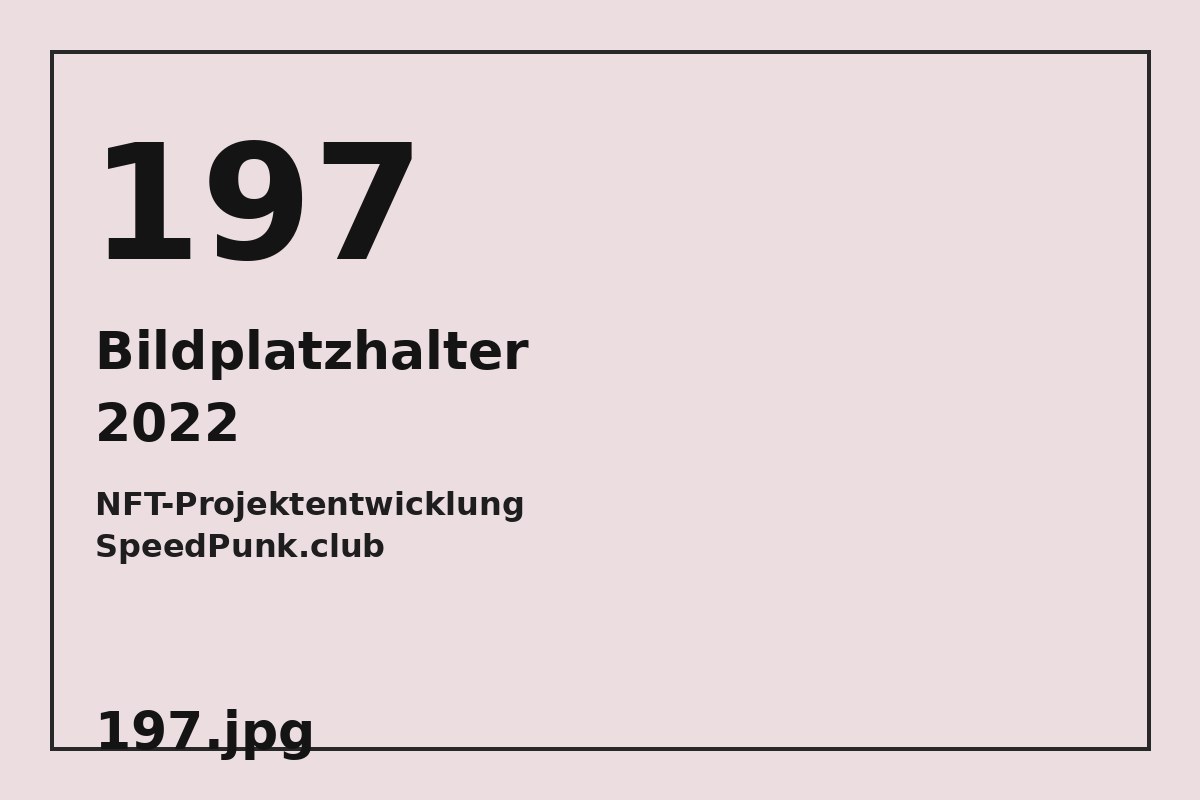 Bildplatzhalter 197.jpg für NFT-Projektentwicklung SpeedPunk.club
