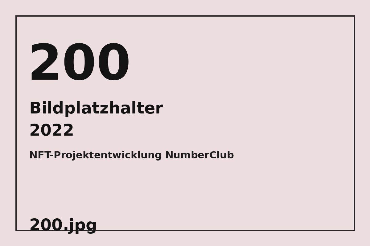 Bildplatzhalter 200.jpg für NFT-Projektentwicklung NumberClub