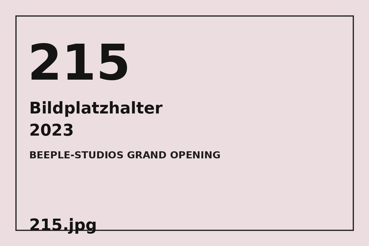 Bildplatzhalter 215.jpg für BEEPLE-STUDIOS GRAND OPENING